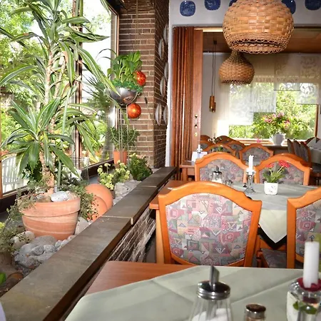 Hotel Central فندق